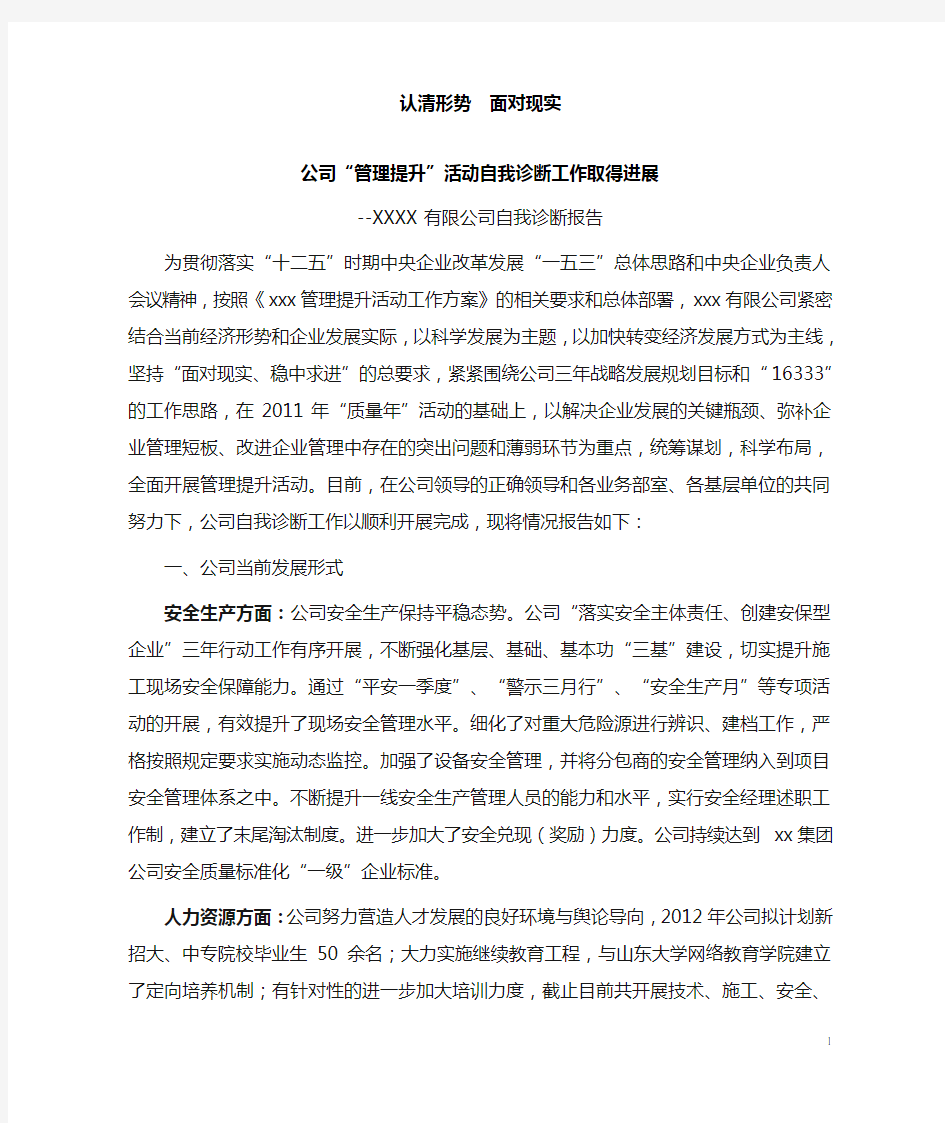 公司自我诊断报告