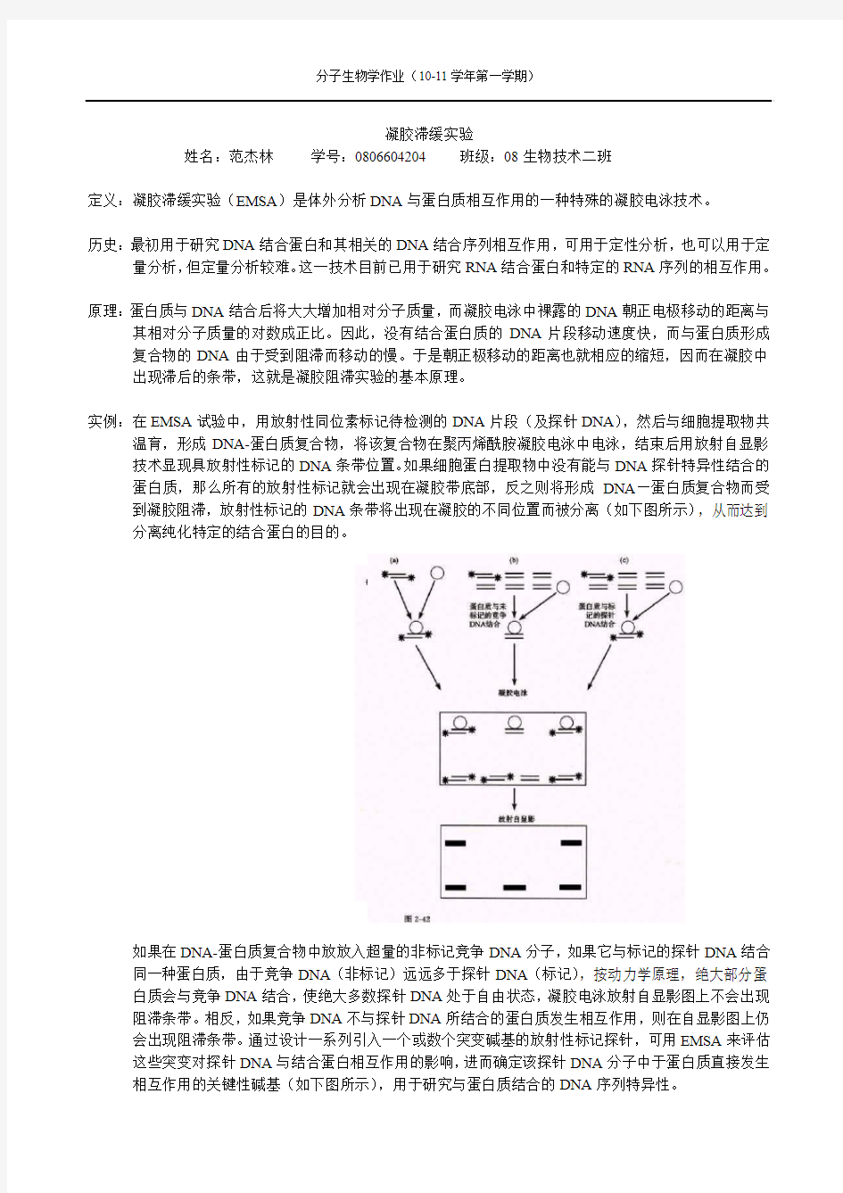 凝胶滞缓实验 学习笔记