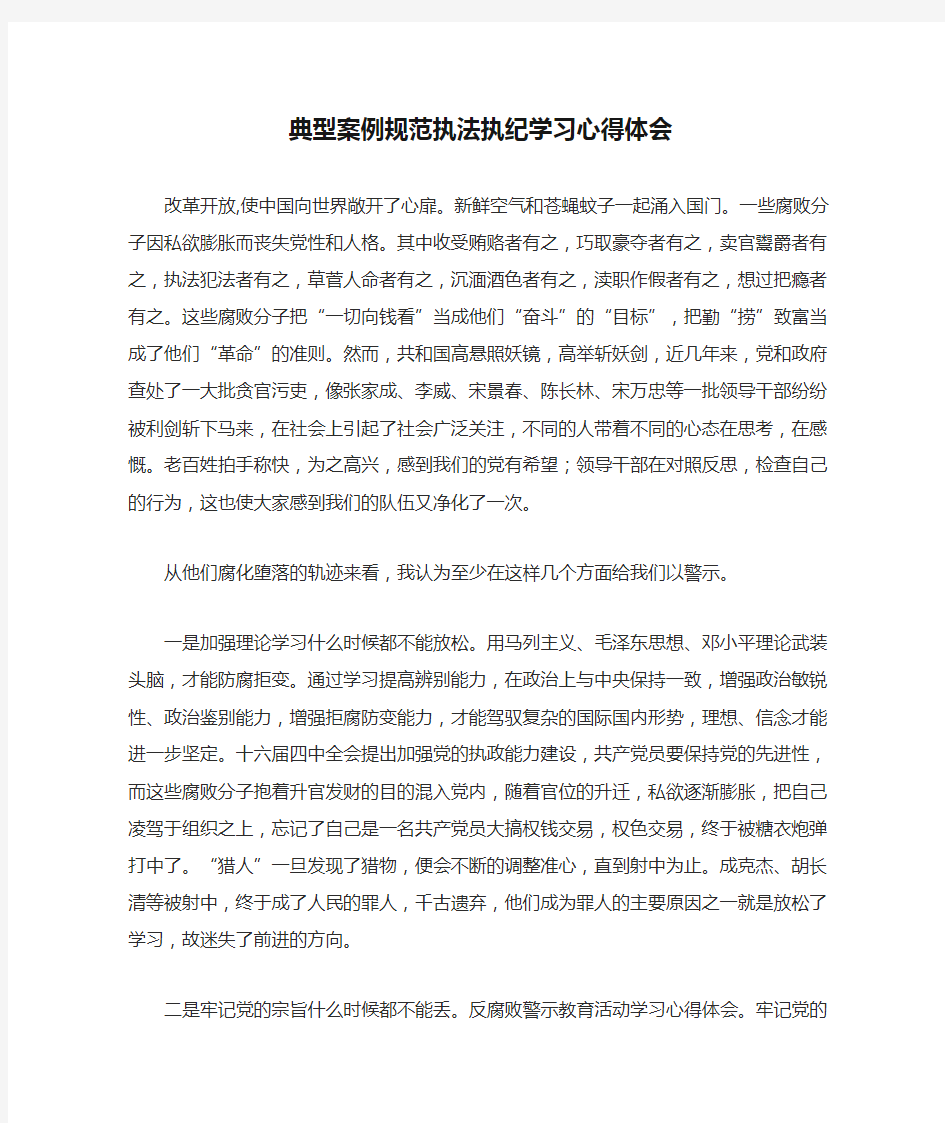 典型案例规范执法执纪学习心得体会