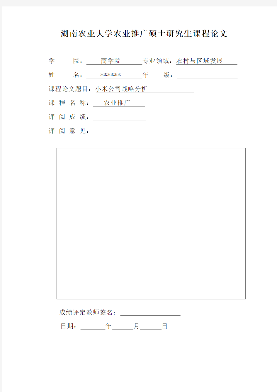 小米公司战略分析