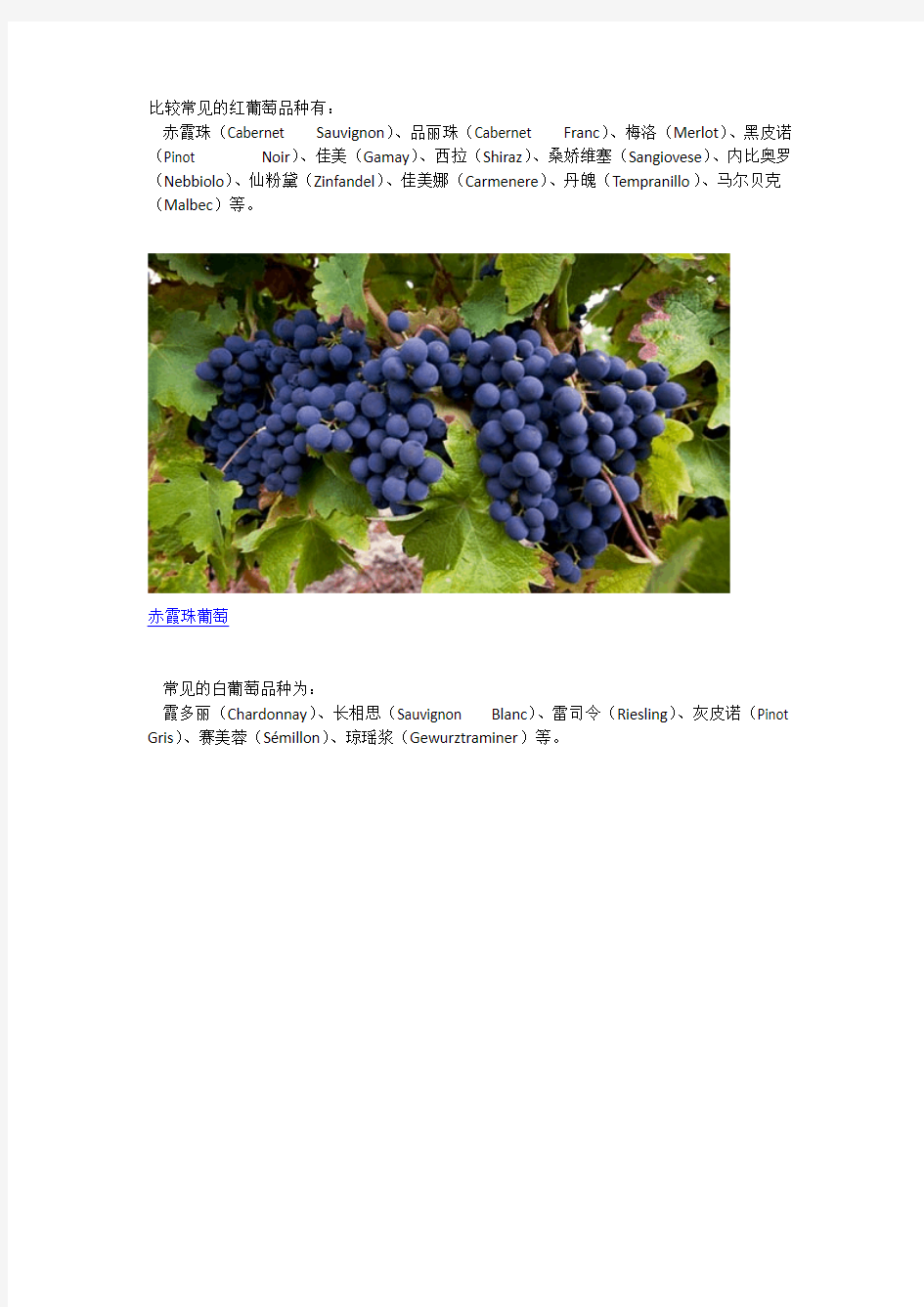 [VIP专享]比较常见的红葡萄品种