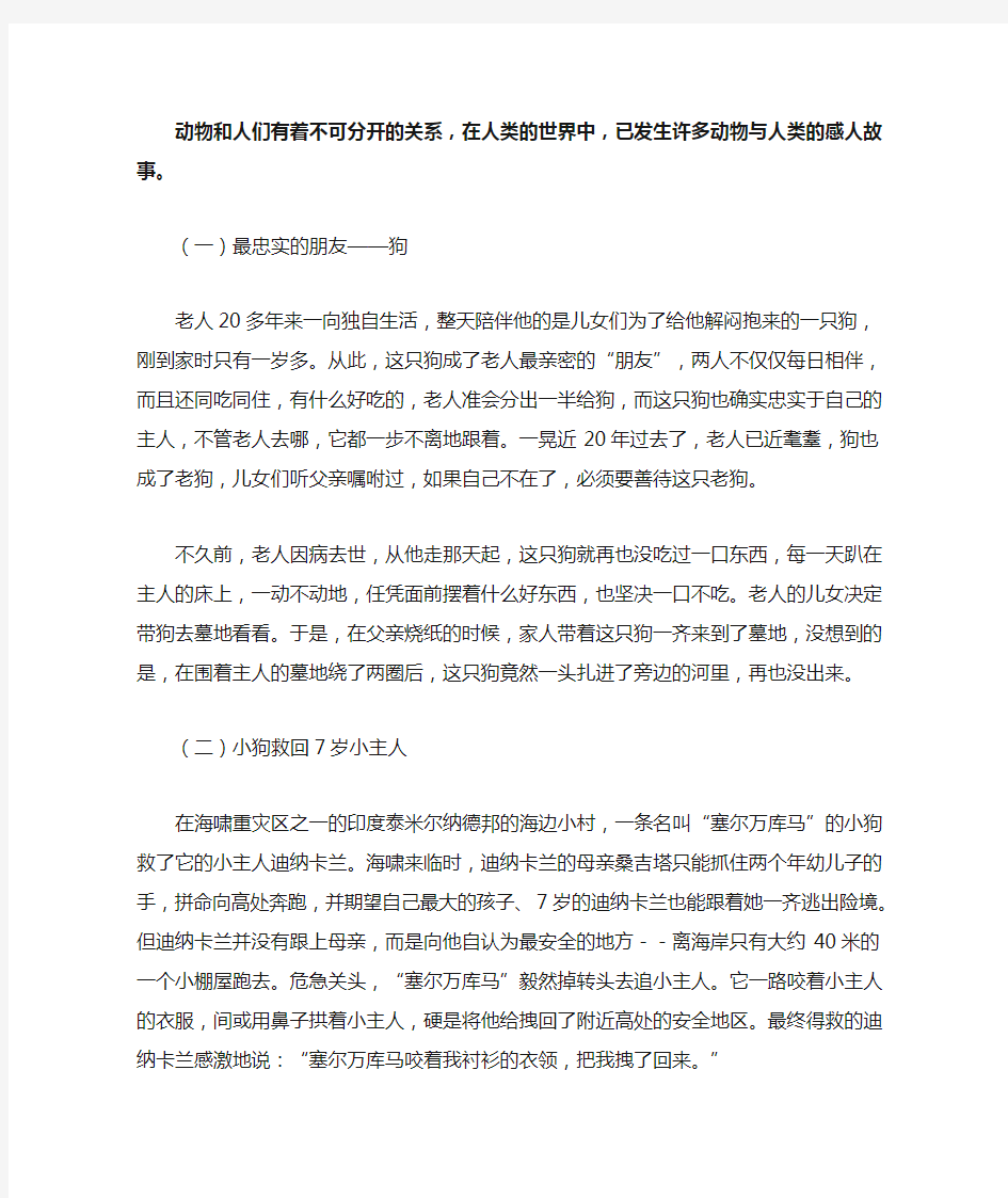 有关动物与人的感人小故事10篇