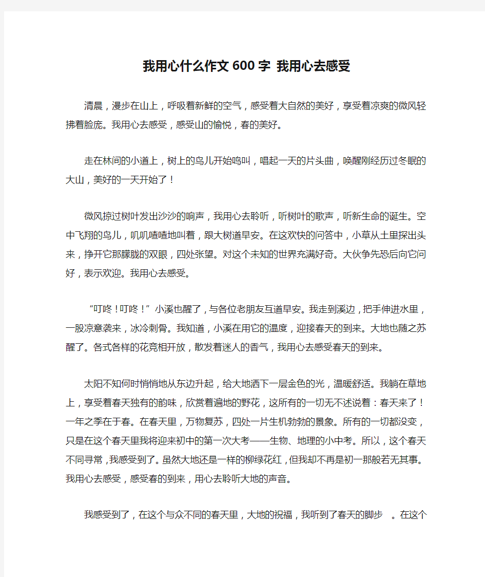 我用心什么作文600字 我用心去感受