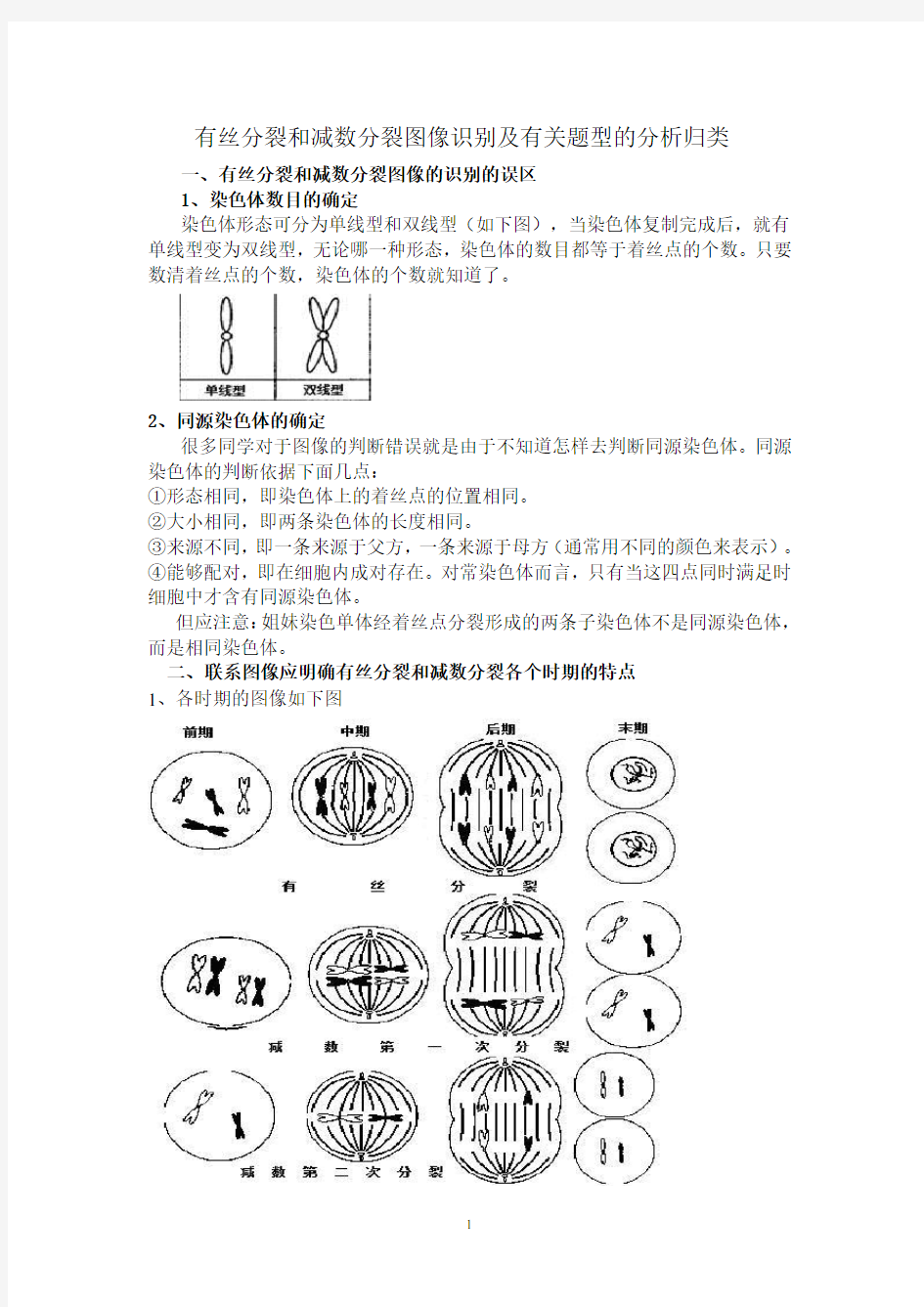 生物_有丝分裂和减数分裂图解_区别和联系