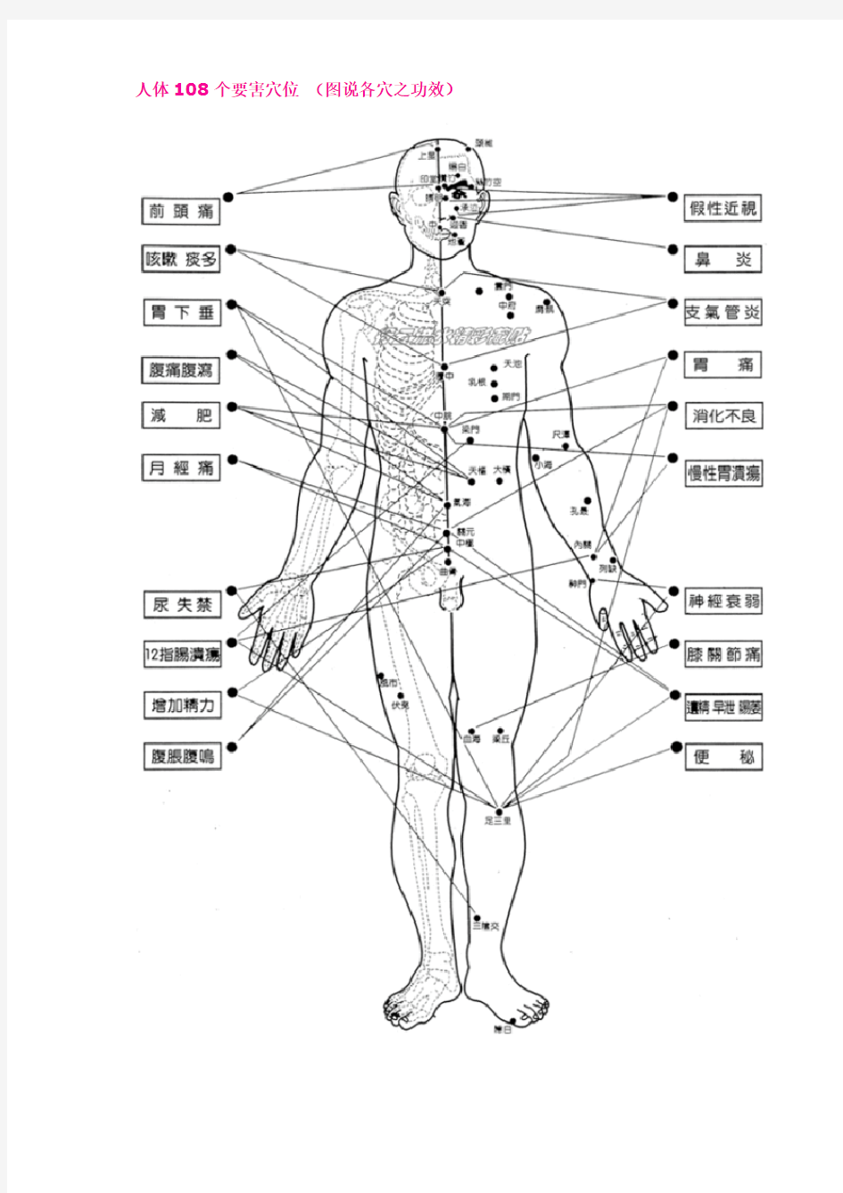 人体108个要害穴位