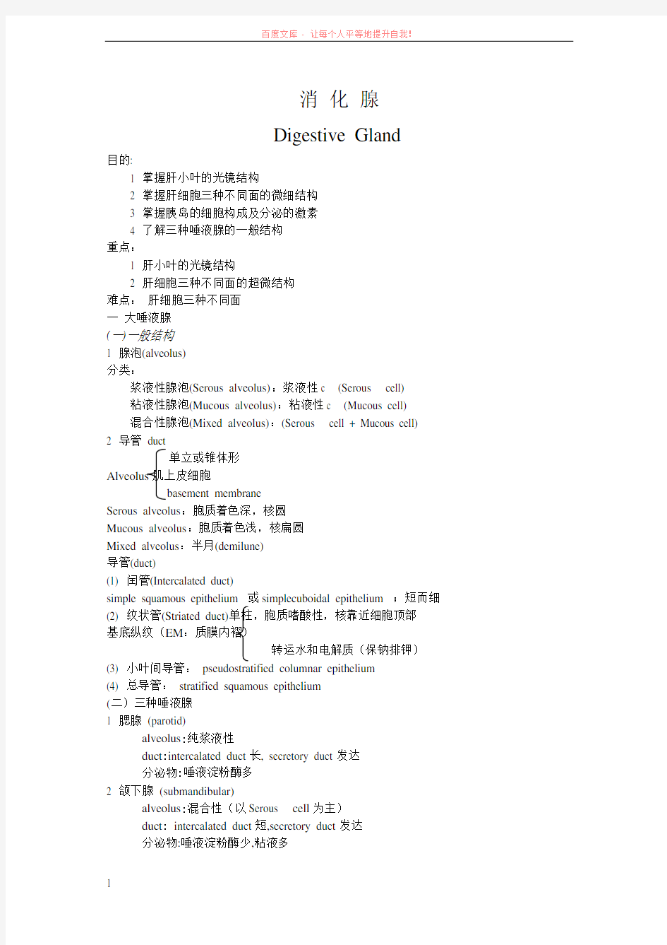 掌握肝小叶的光镜结构 (1)