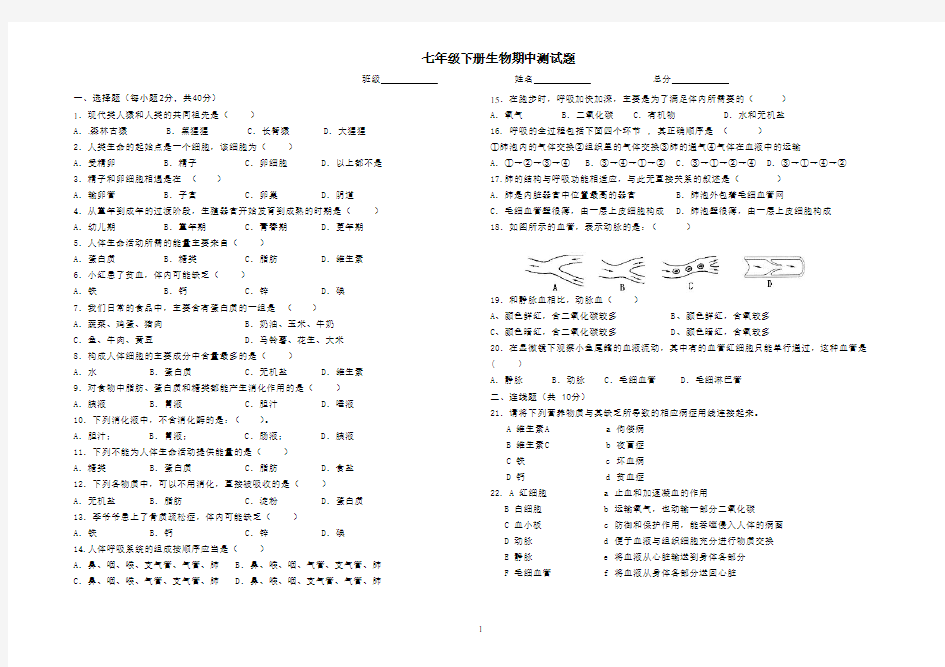 2014年七年级下册生物期中测试题