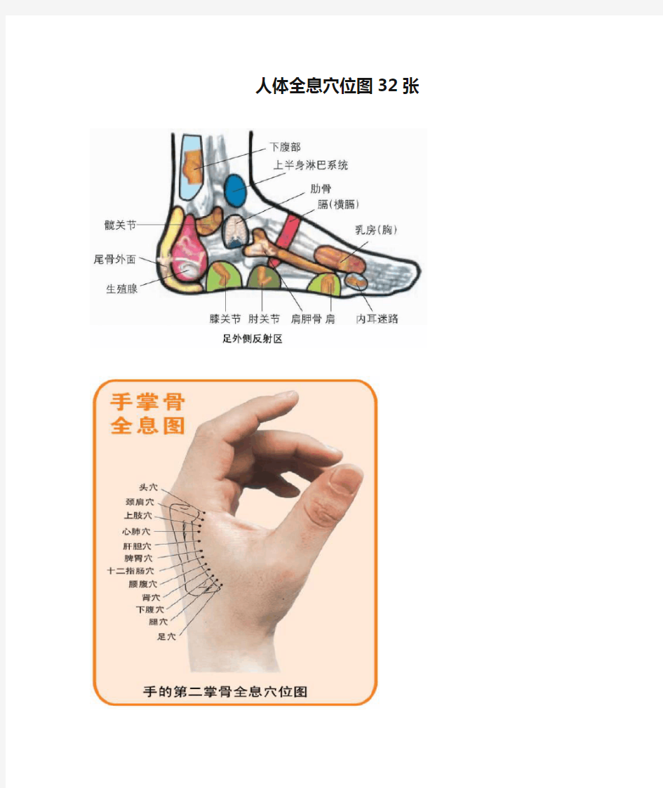 人体全息穴位图32张