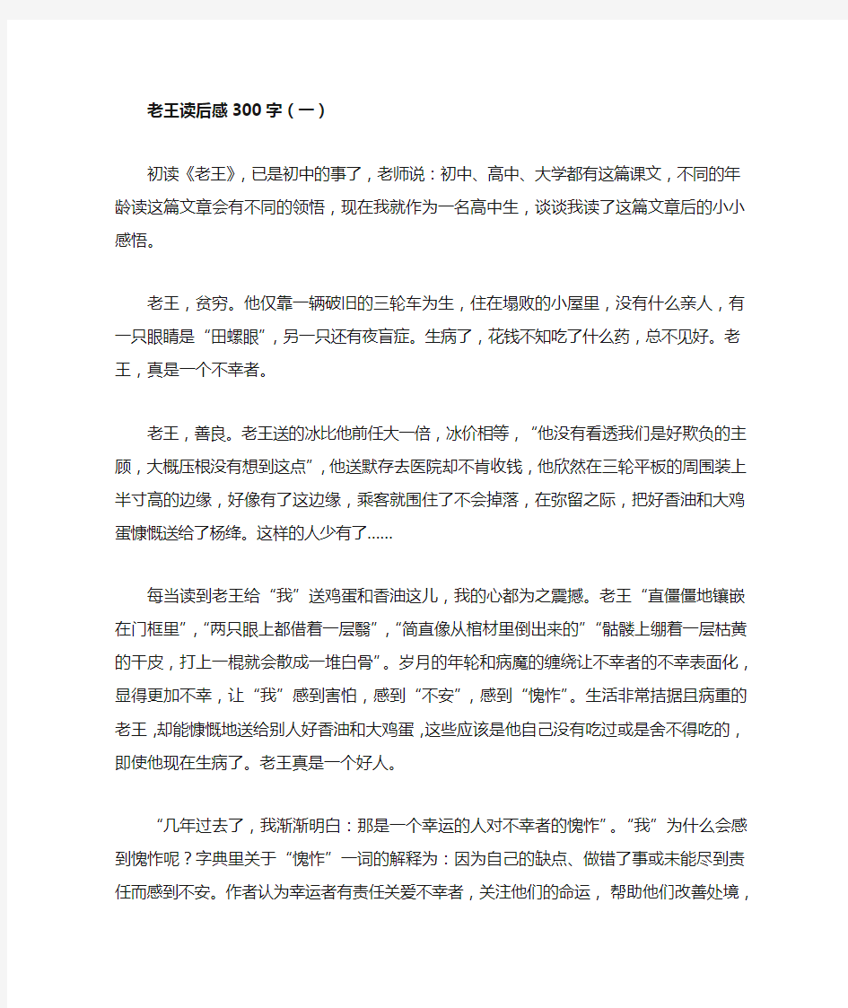 老王读后感300字