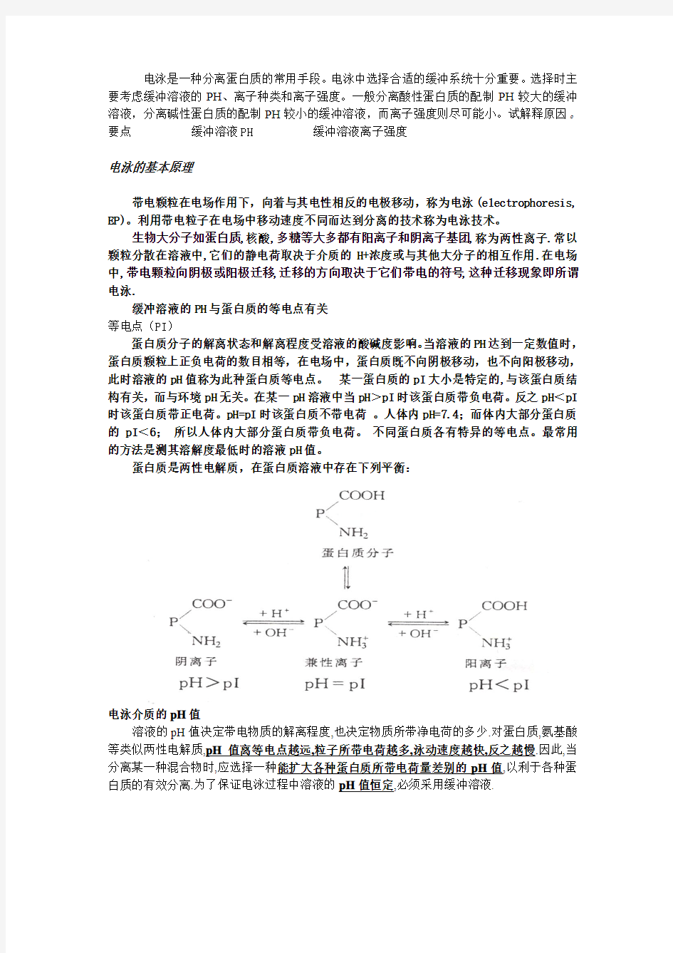 电泳分离蛋白质