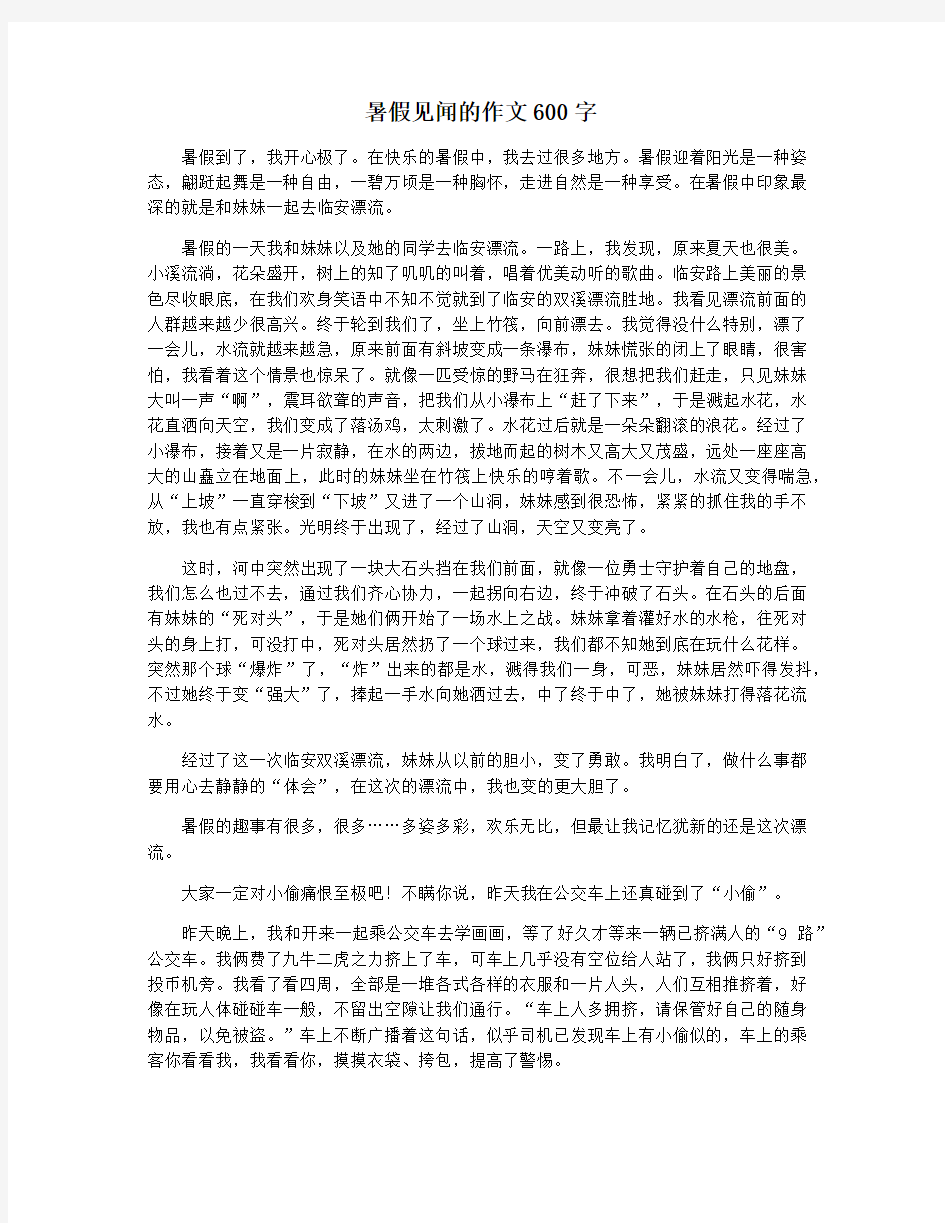 暑假见闻的作文600字