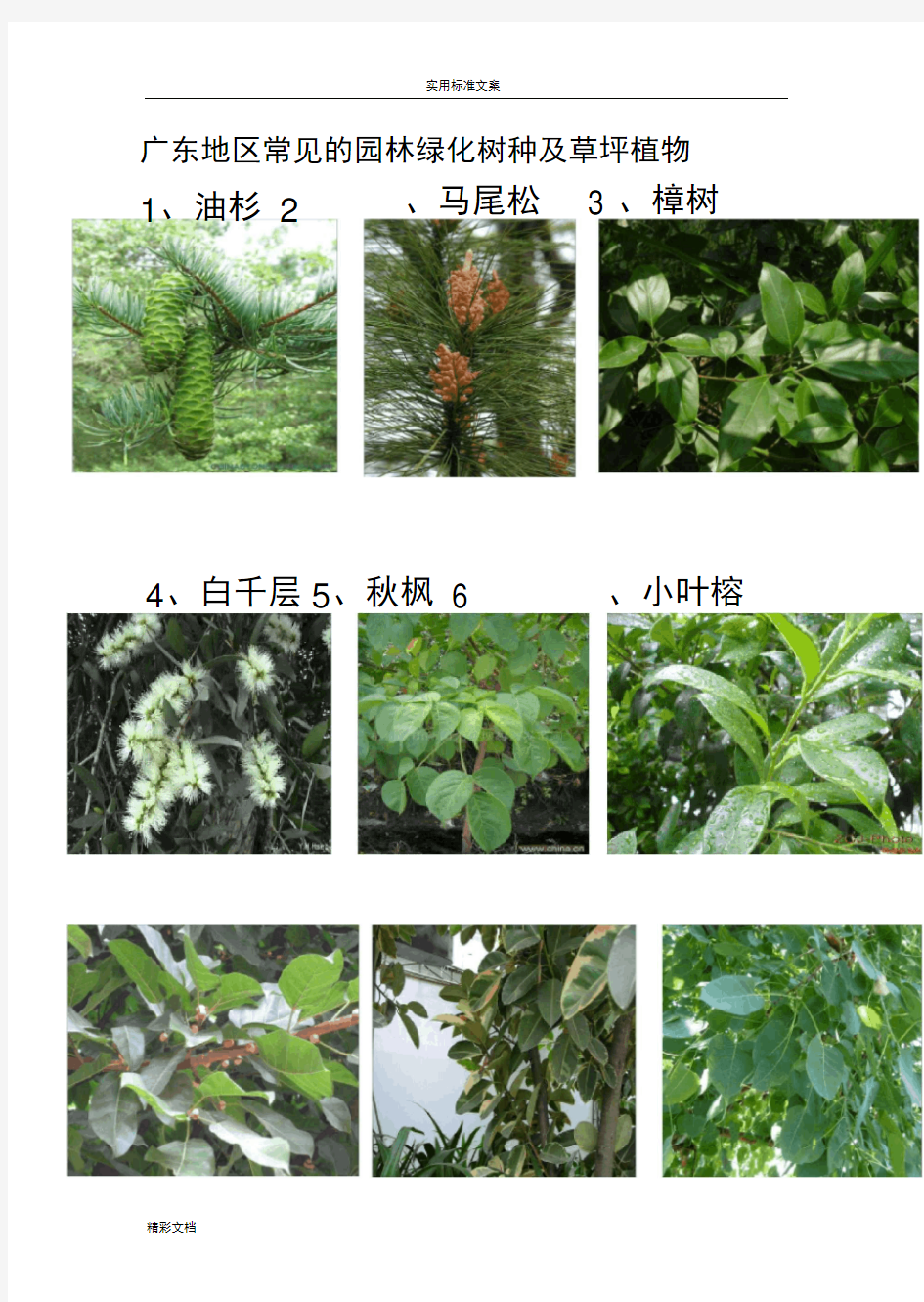 广东地区常见的地园林植物74种