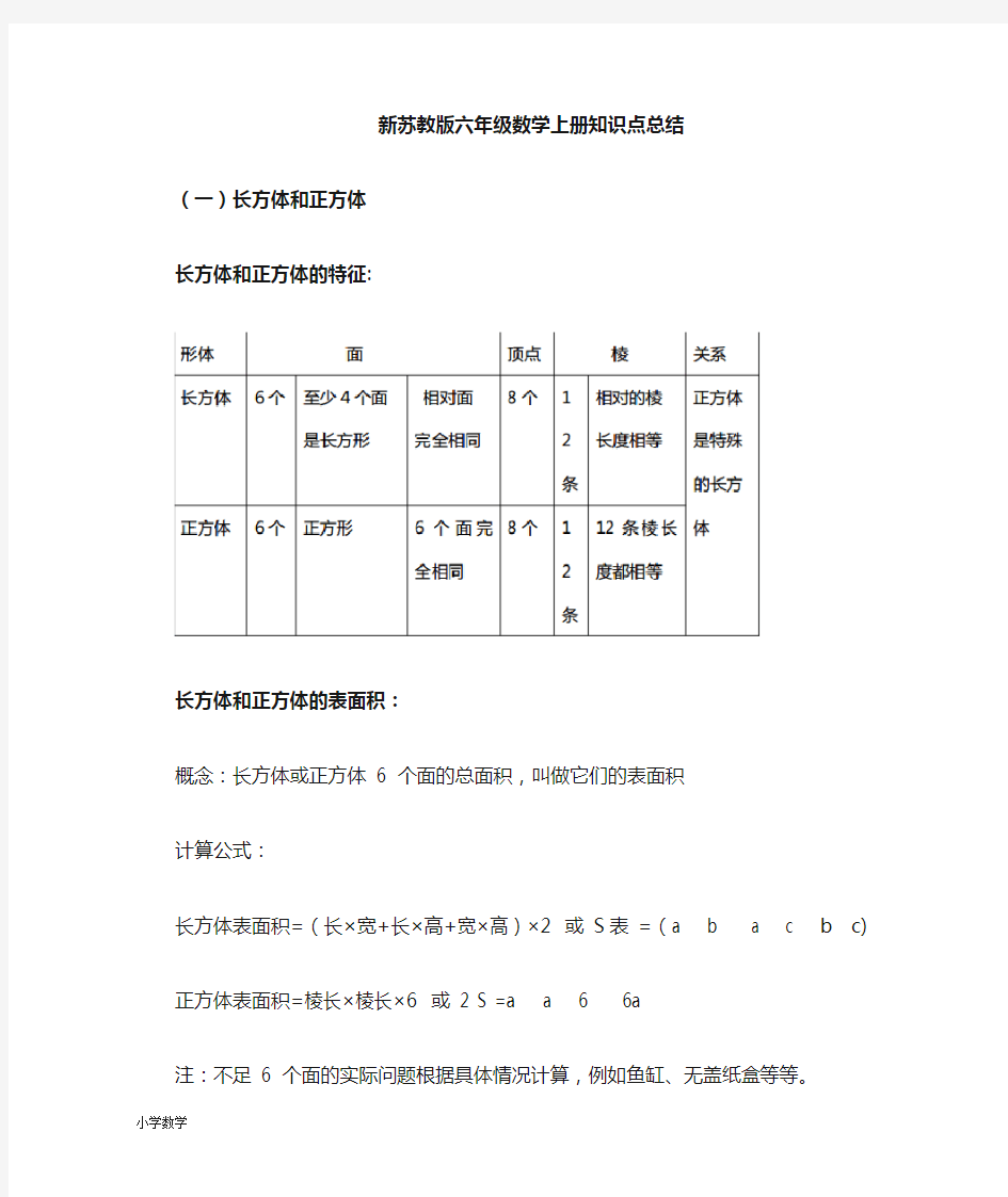 苏教版六年级上册数学知识点