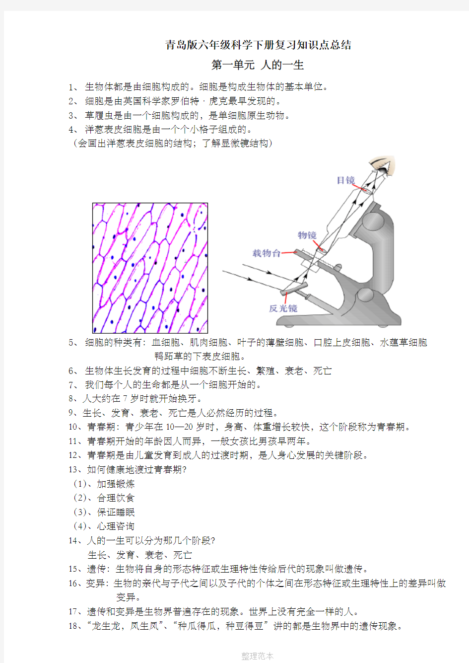 青岛版六年级下册科学(全册)知识点总结及试题20671