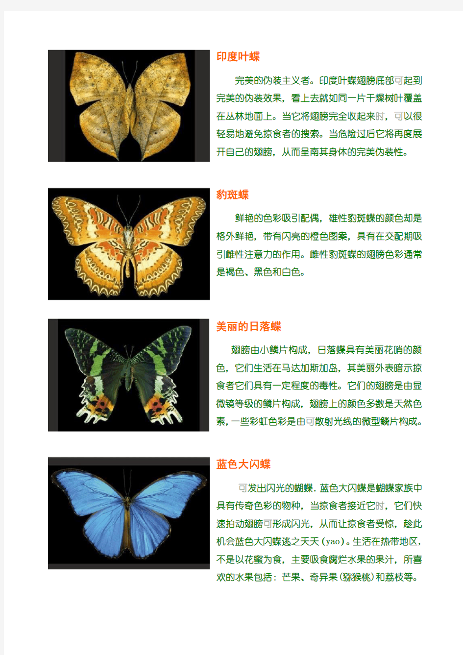 蝴蝶图片及介绍