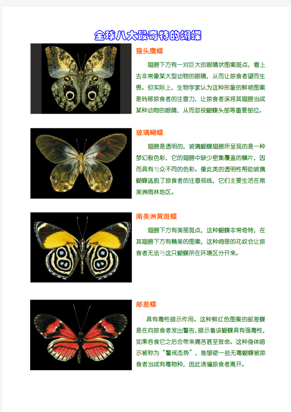 蝴蝶图片及介绍