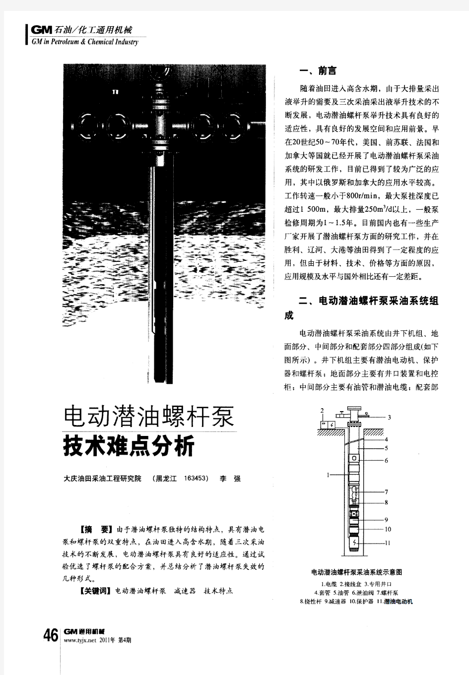 电动潜油螺杆泵技术难点分析