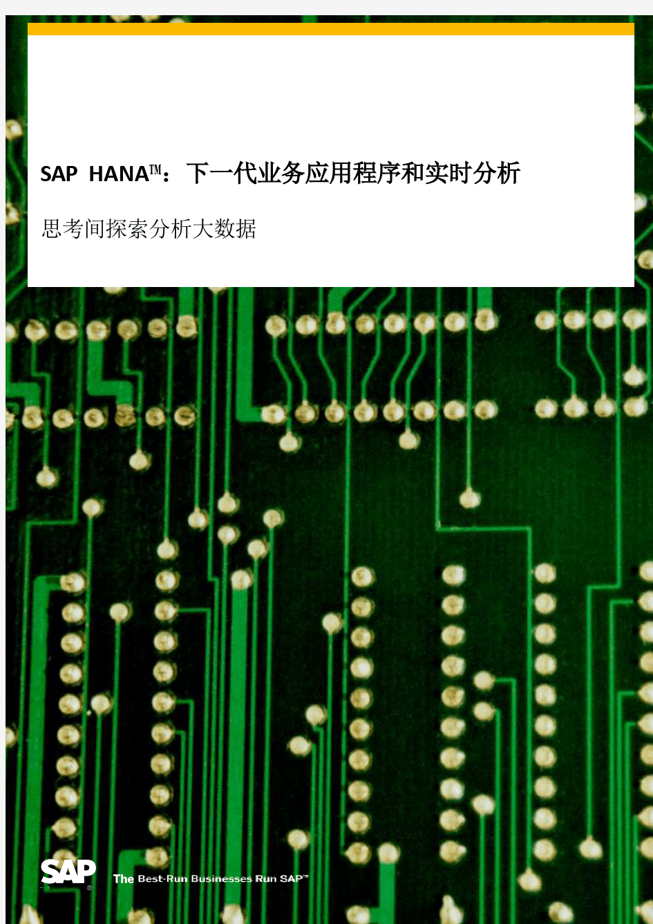 SAP HANA白皮书