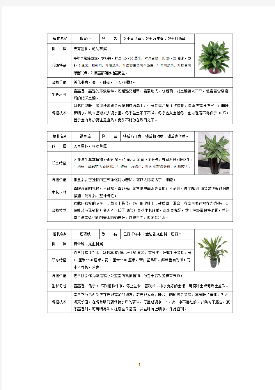 50种常见室内盆栽绿化植物介绍(带图片)