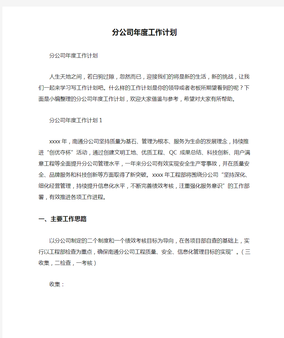 分公司年度工作计划