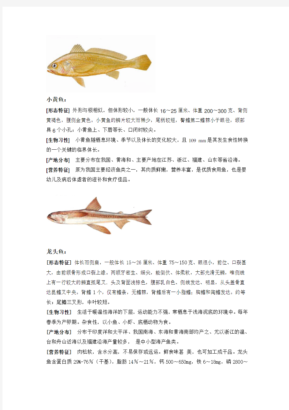 各种海鲜鱼类的介绍