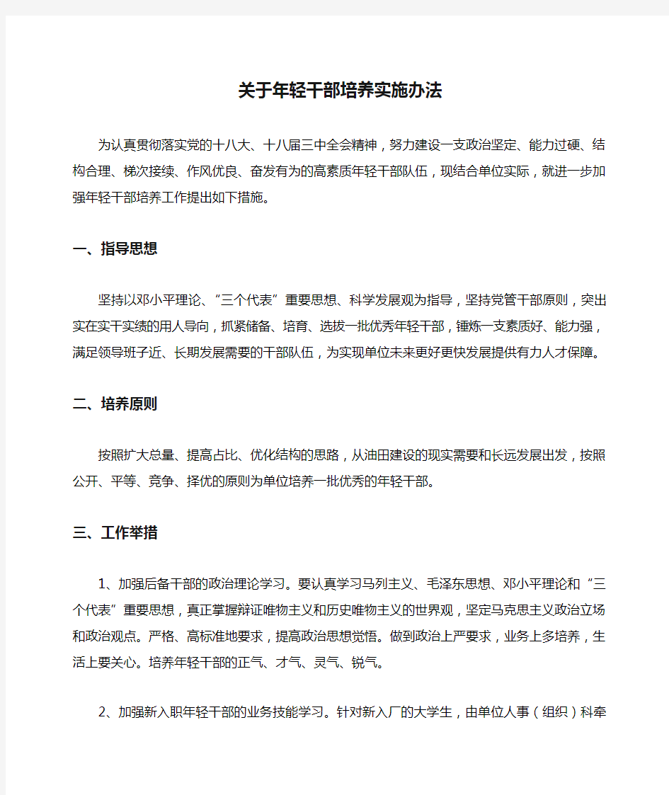 关于年轻干部培养实施办法DOC