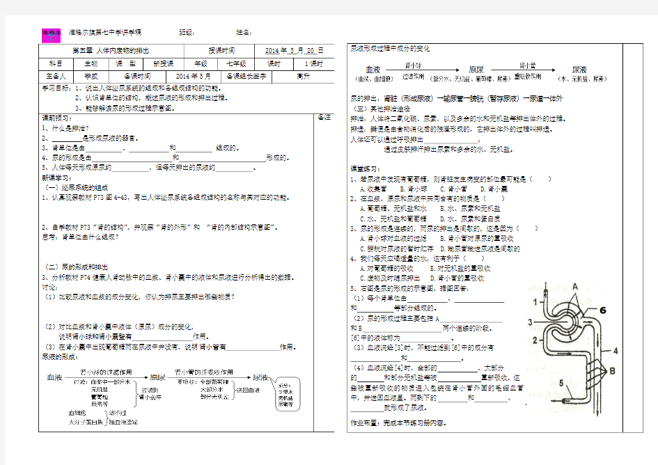 4.5人体内废物的排出