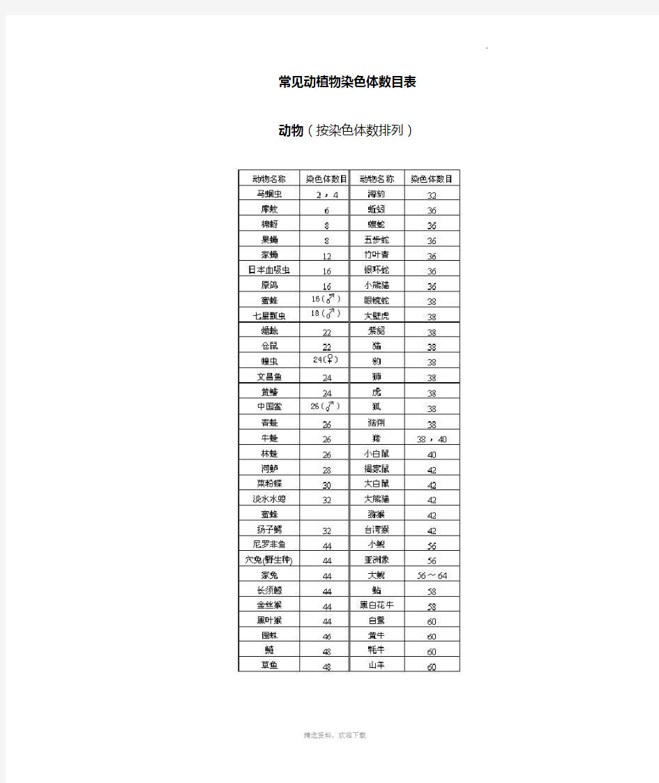 常见动植物染色体数