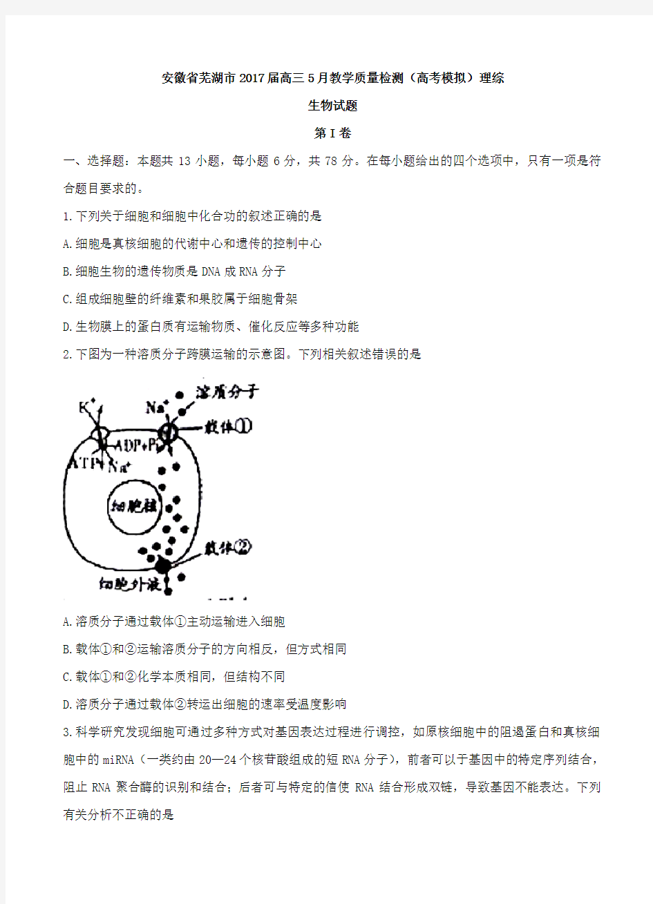 安徽省芜湖市2017届高三5月高考模拟理综生物试卷及答案