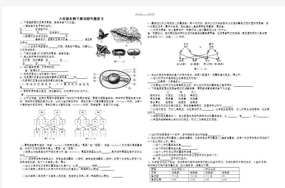 八年级生物下册识图专题复习