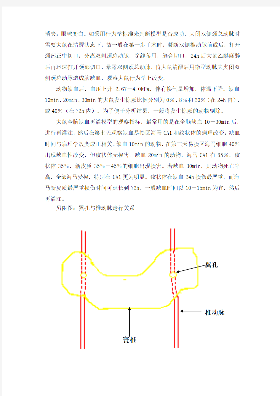 全脑缺血再灌注模型探讨