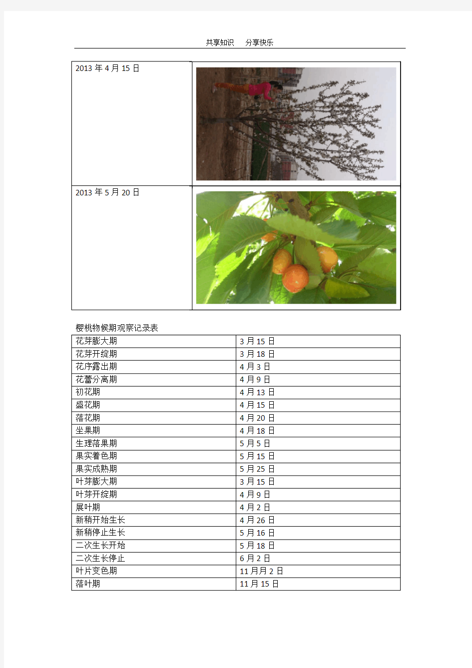 果树物候期报告-田间实验报告