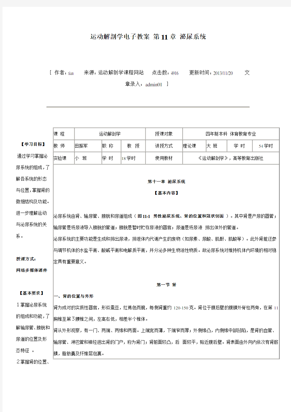 运动解剖学电子教案第11章泌尿系统