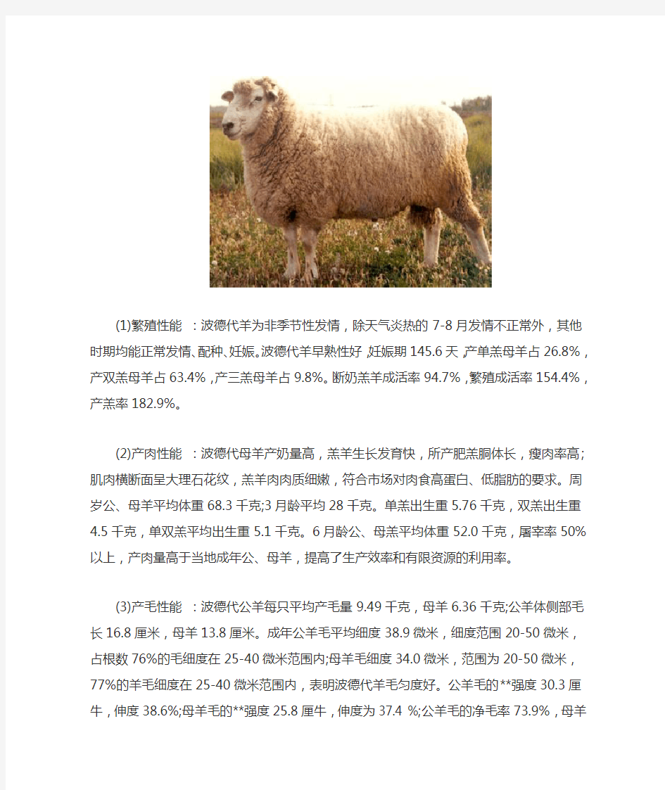 波德代羊介绍及图片