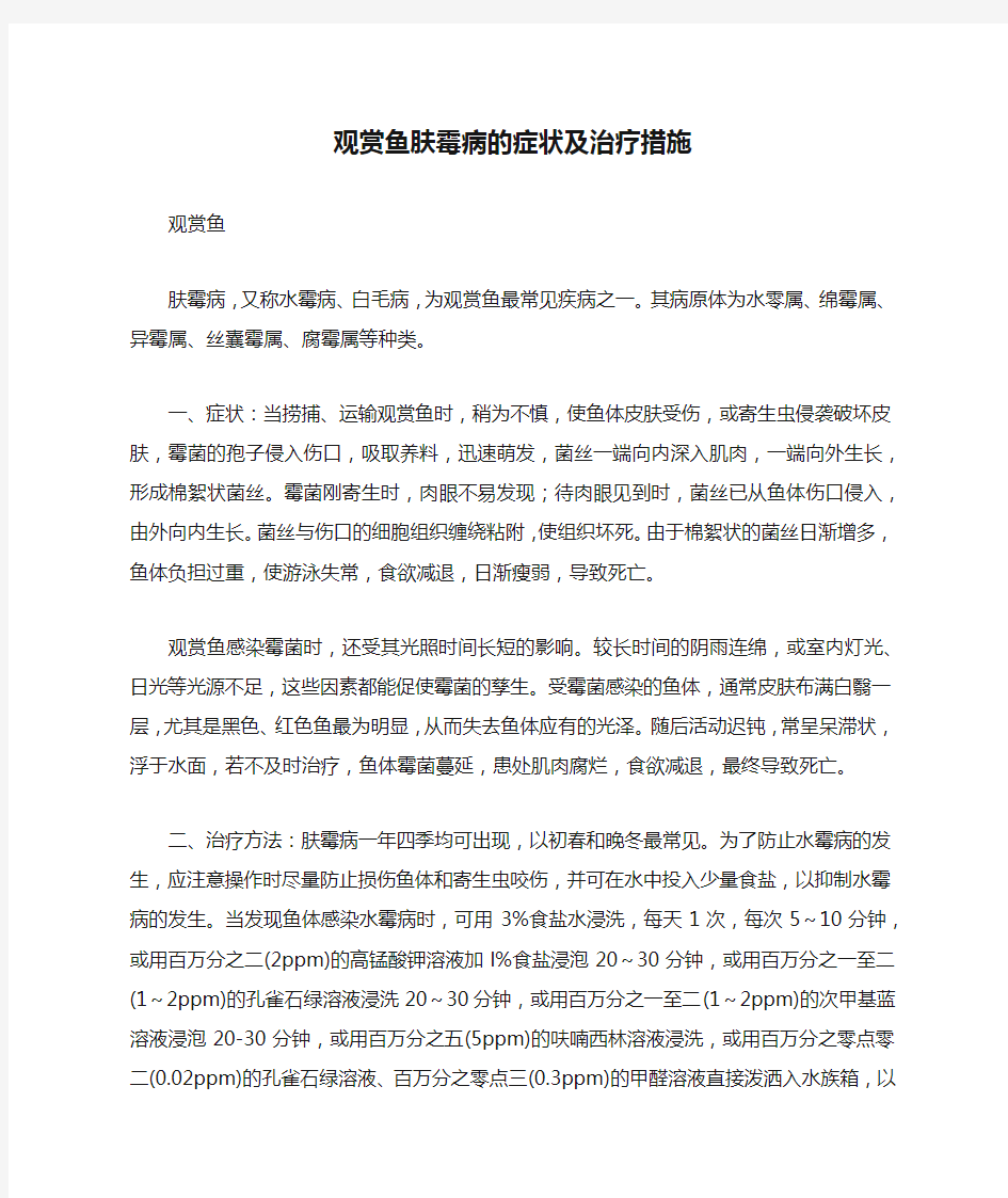 观赏鱼肤霉病的症状及治疗措施