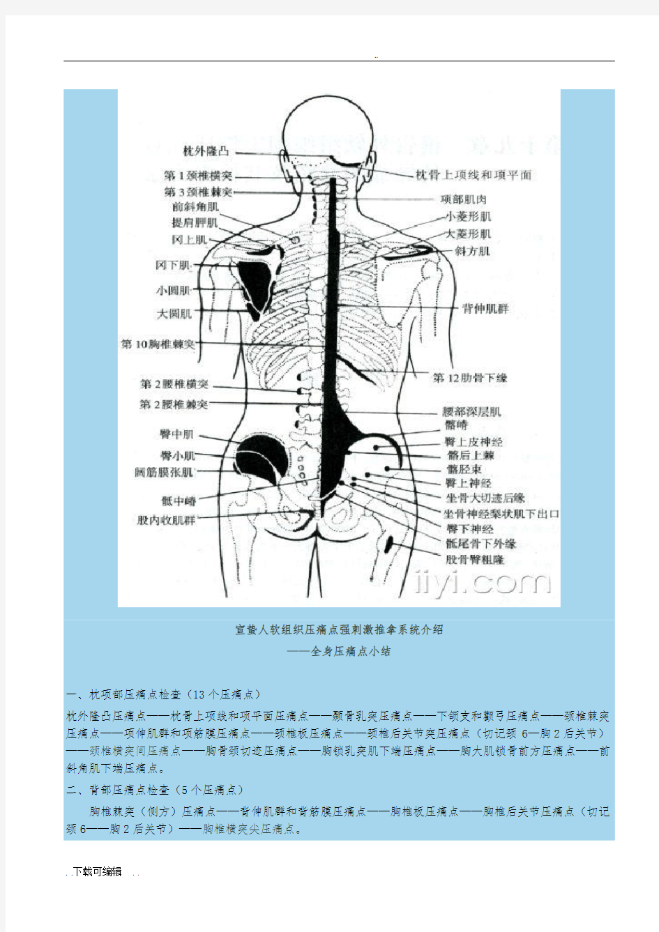 宣蛰人软组织疼痛强刺激推拿压痛点(解剖图)