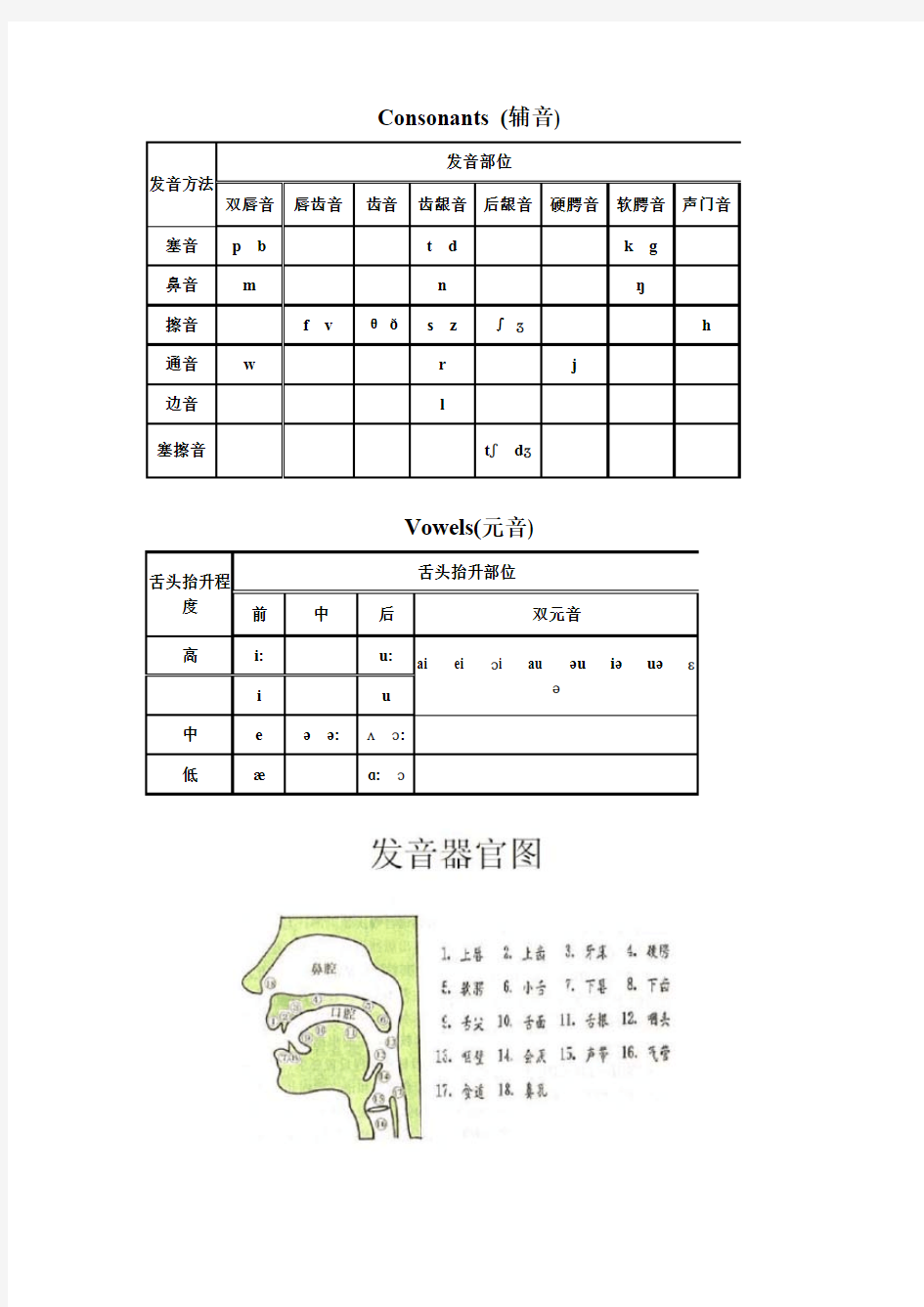 (英语)国际音标发音舌位图