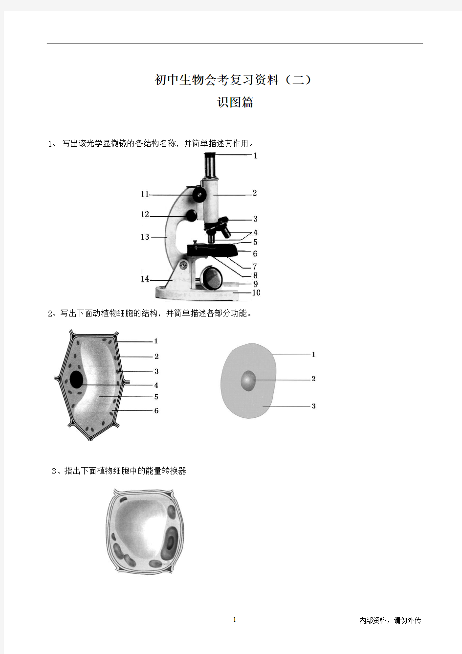 八年级生物会考复习 识图题