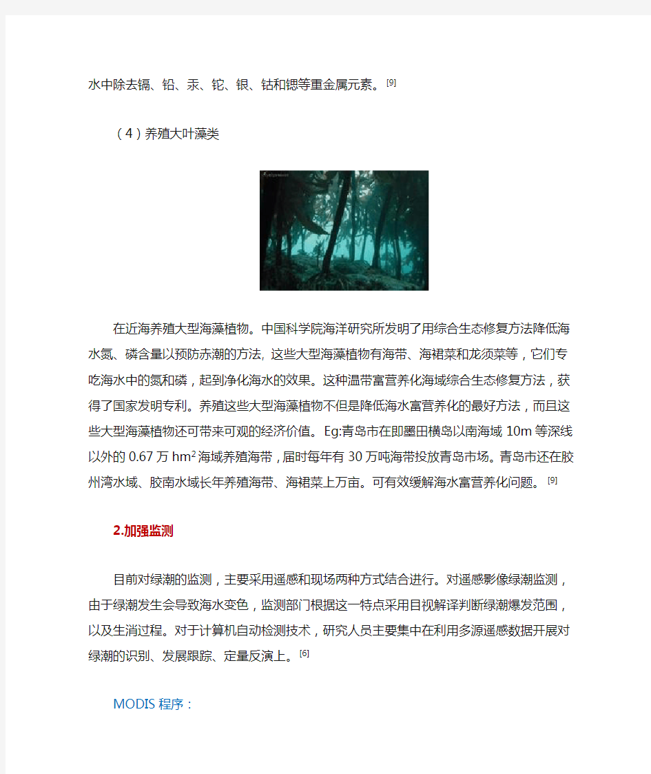 绿潮防治对策