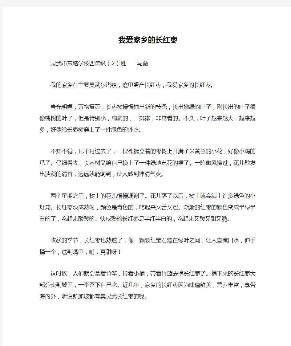 我爱家乡的长红枣