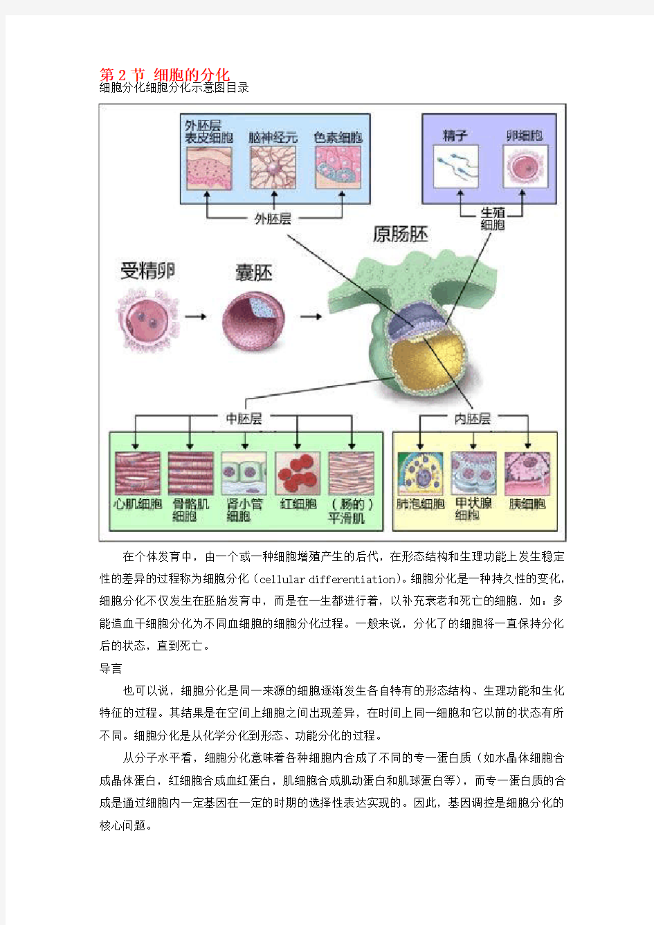 高中生物细胞的增殖与分化细胞的分化素材浙科版