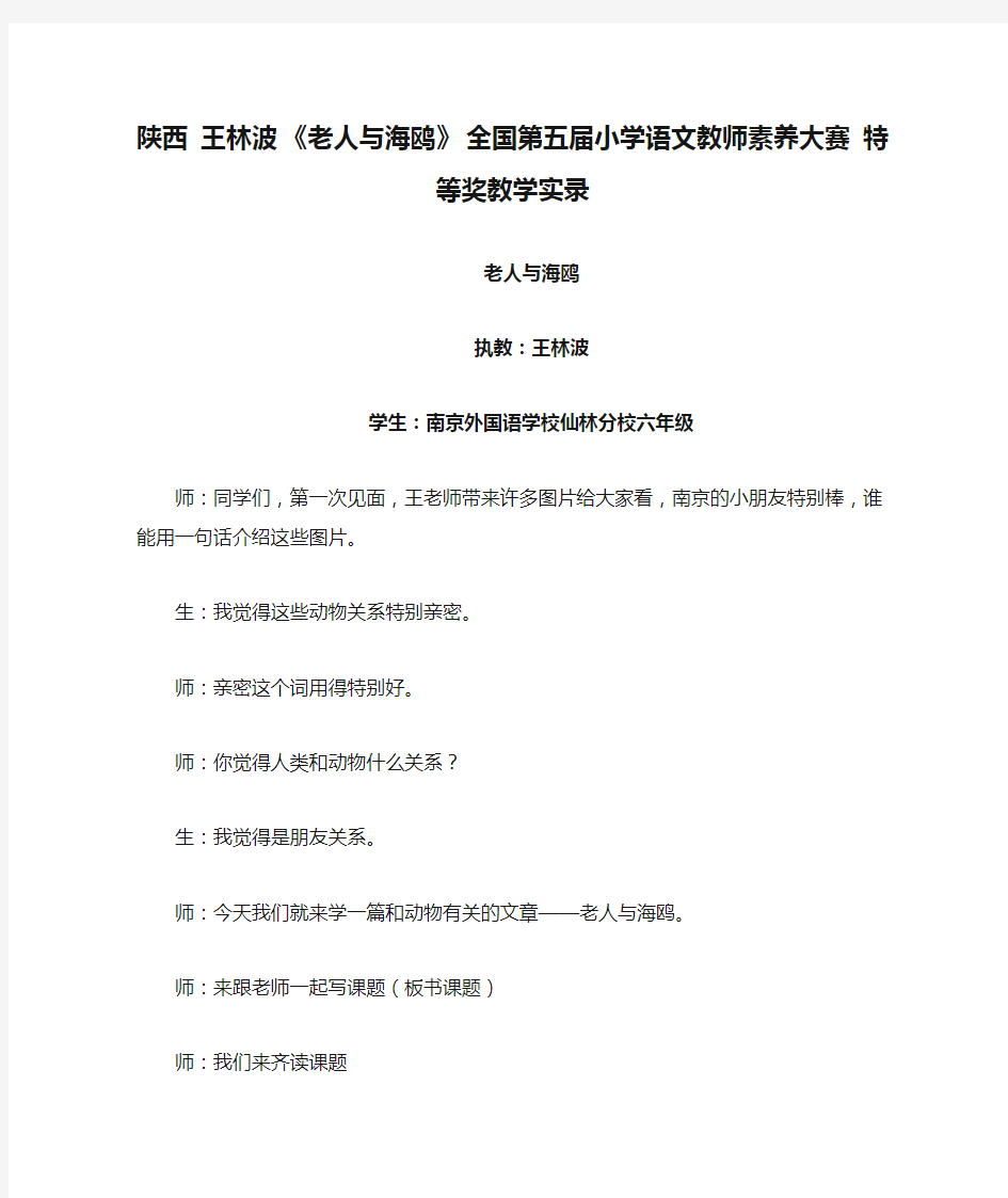 陕西 王林波 《老人与海鸥》 全国第五届小学语文教师素养大赛 特等奖教学实录