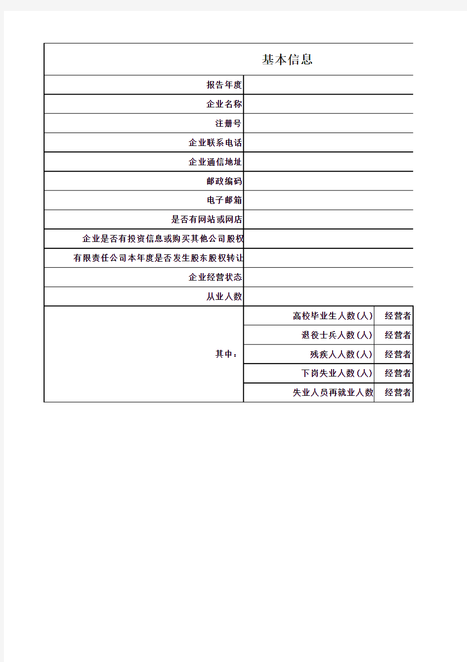 2015年营业执照年报报表格式