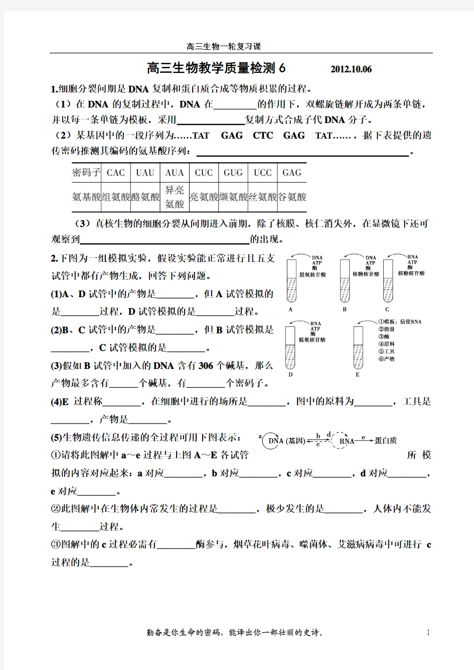 高三生物教学质量检测6