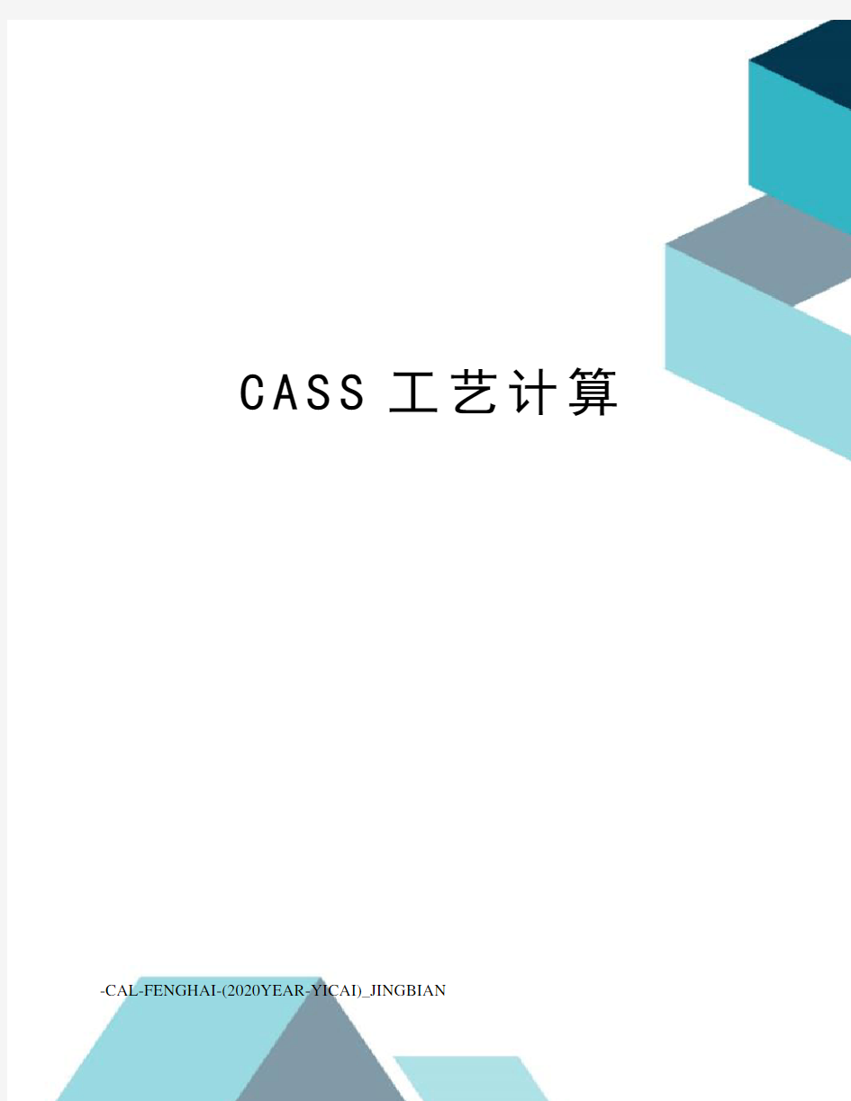 CASS工艺计算