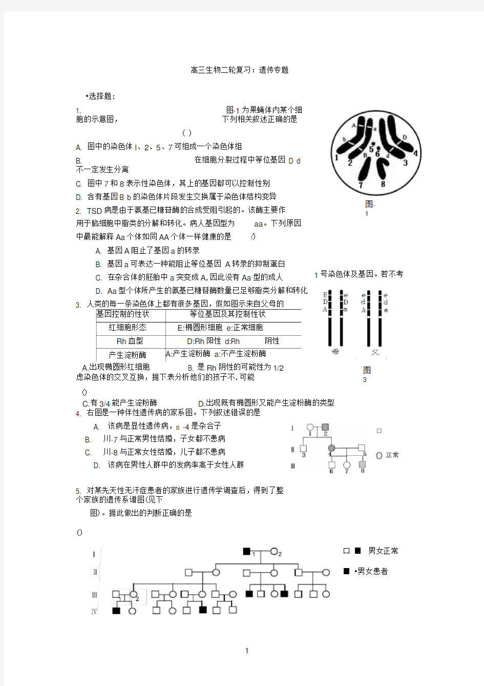 高三生物二轮复习：遗传专题