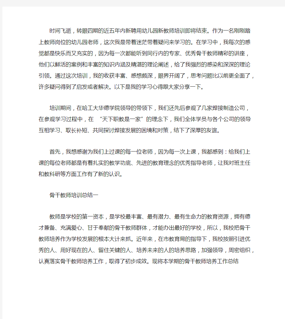 2020新入职教师培训总结