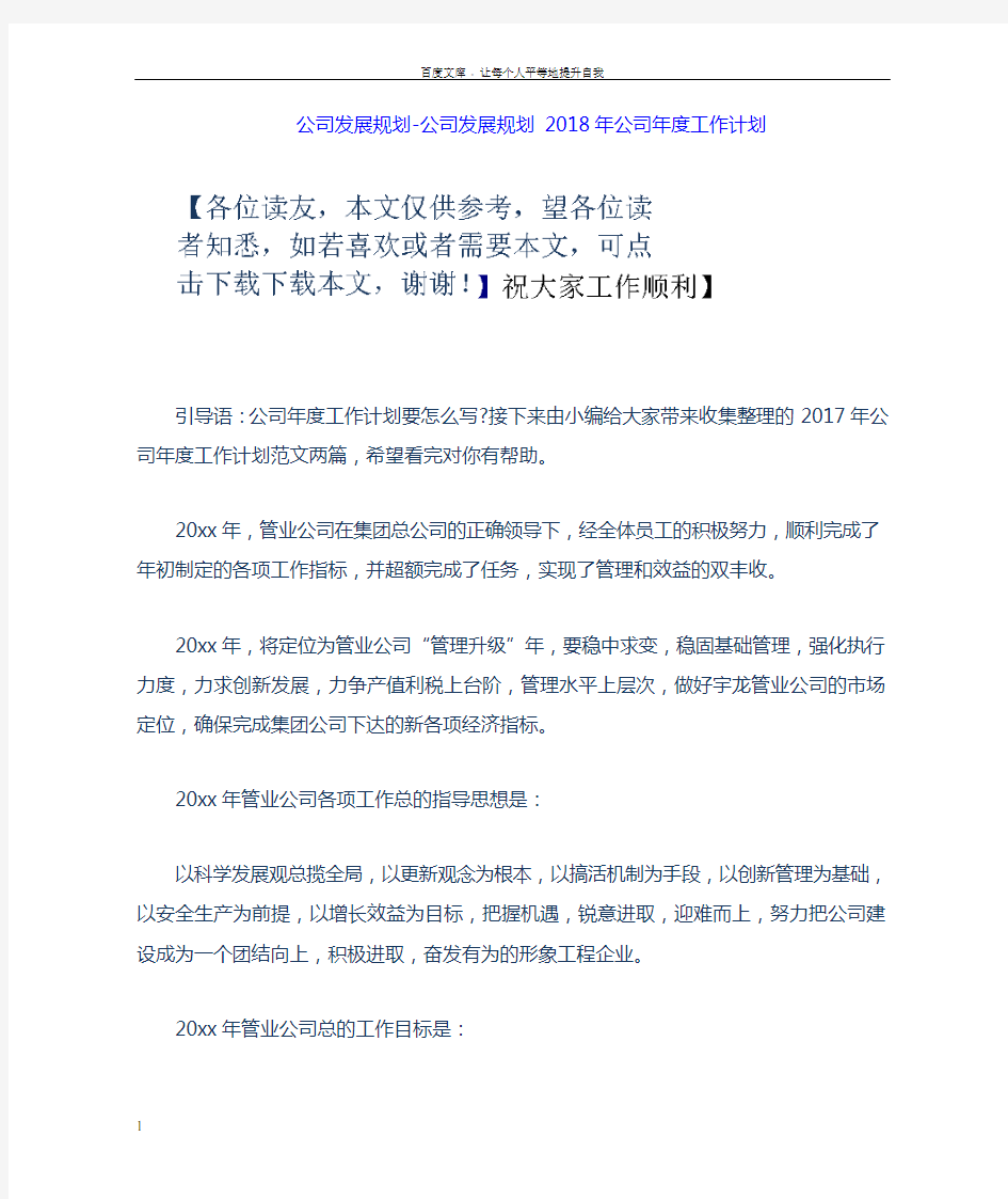 公司发展规划公司发展规划2018年公司年度工作计划