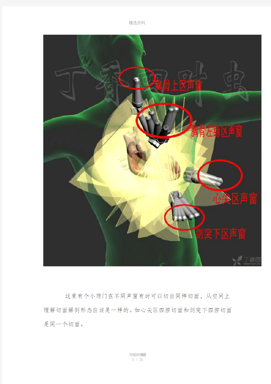 图解心脏解剖与心脏超声切面