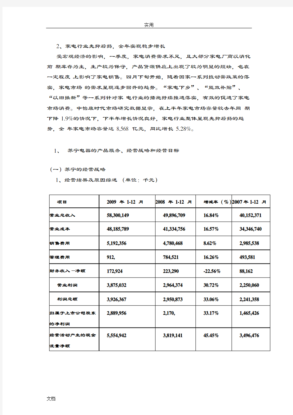 苏宁财务报表分析报告